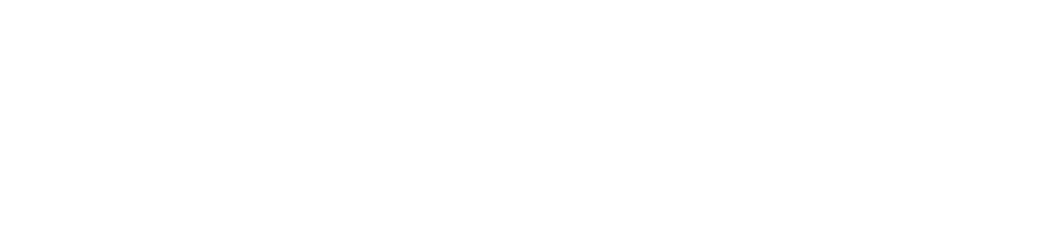 Partner Logo: Revolut