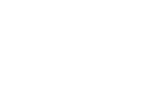 Partner Logo: Revolut