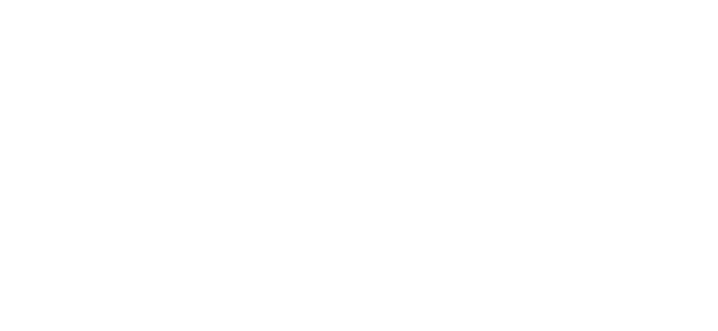 Partner Logo: Revolut