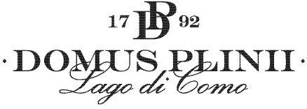 Domus Plini