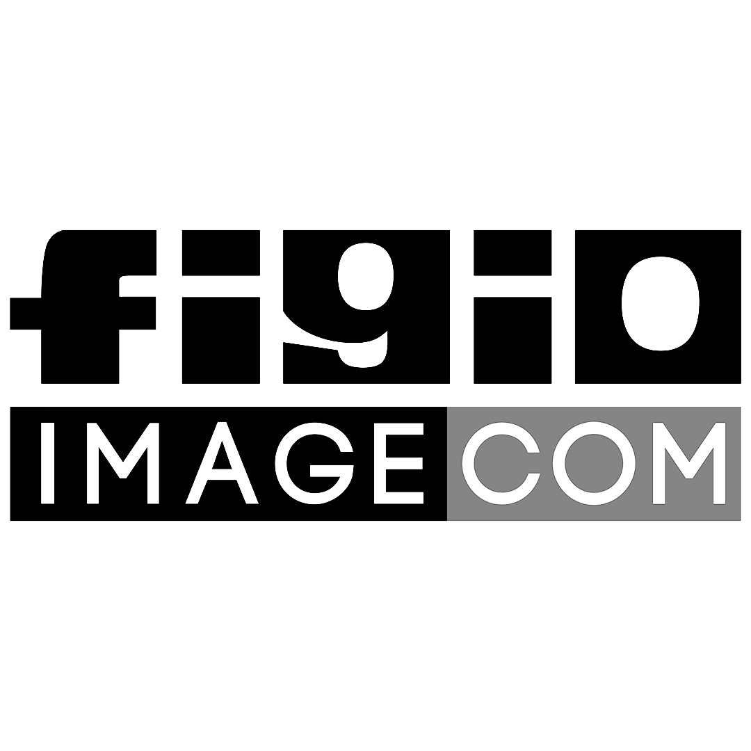 Figio Image
