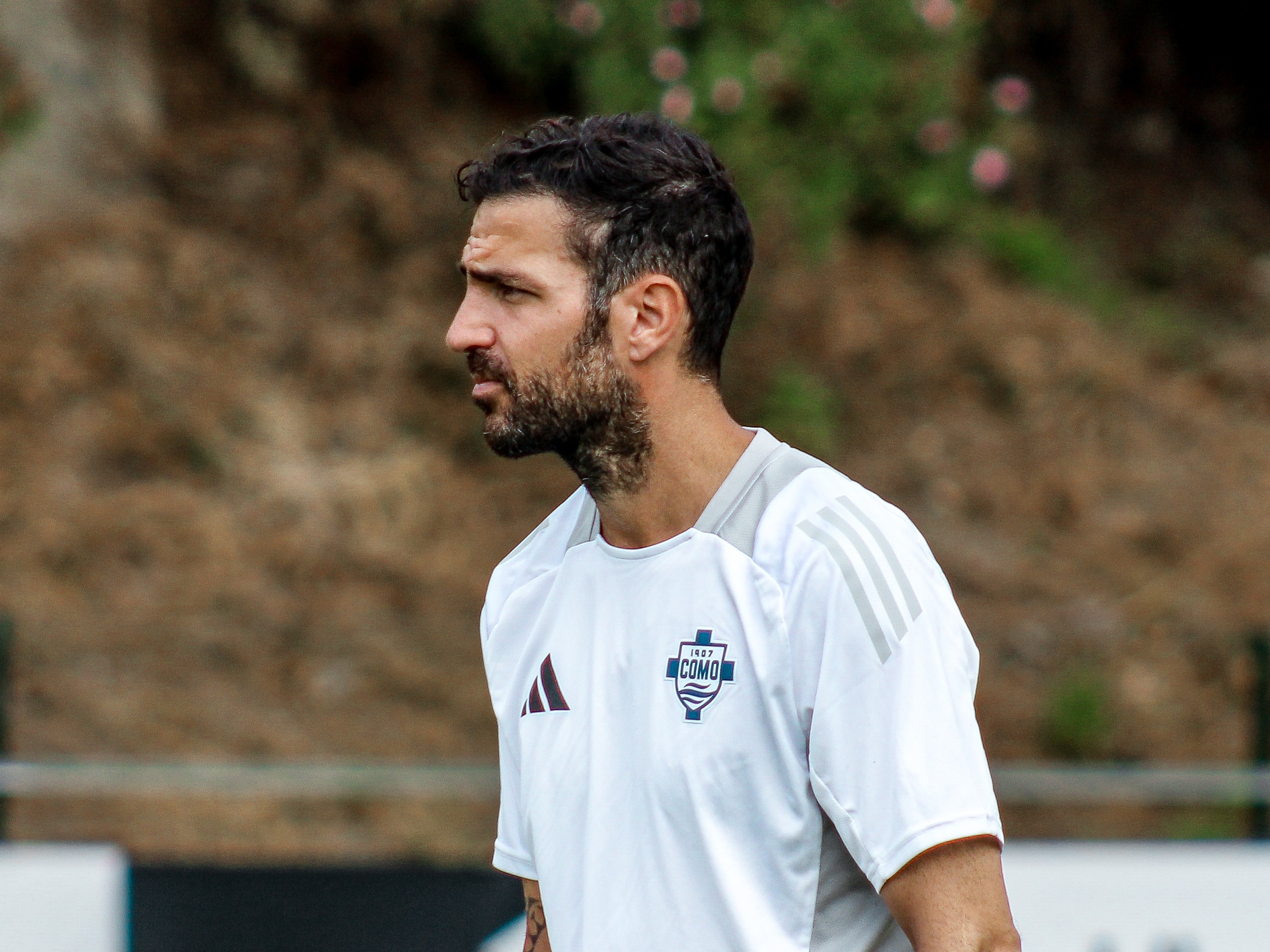 Cesc Fàbregas to Officially Become Head Coach of Como 1907's Men Team - Como 1907