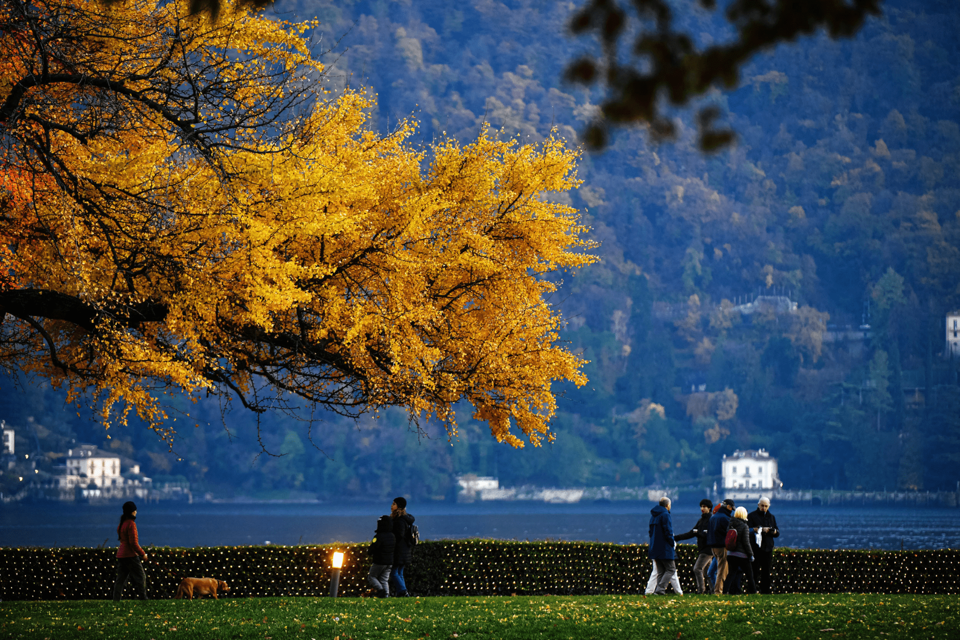 Lake Como's Enchanting Autumn & Winter Wonders - Como 1907